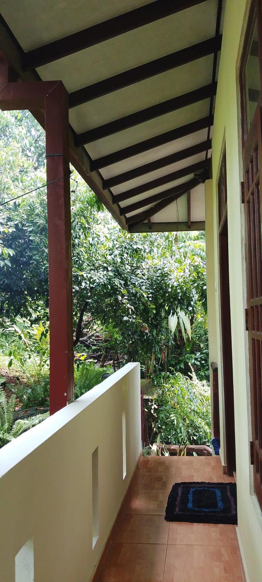 Ranga Villa ฮิกคาดูวา ห้อง รูปภาพ