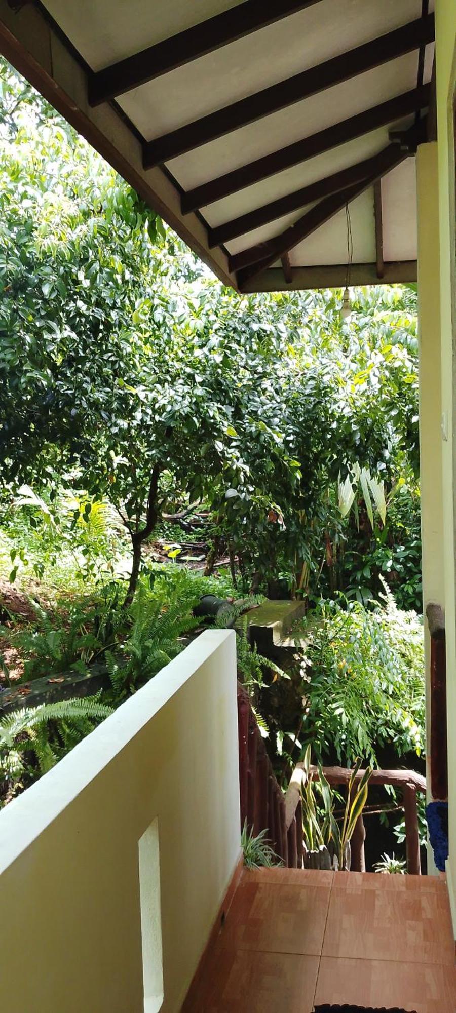 Ranga Villa ฮิกคาดูวา ห้อง รูปภาพ
