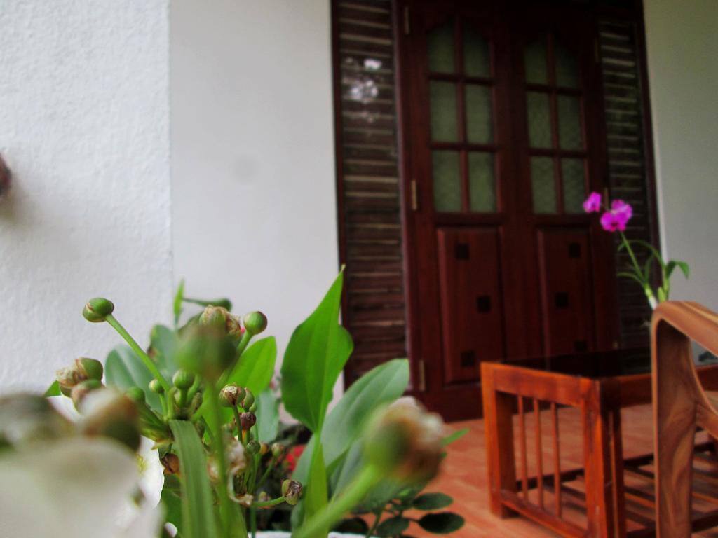 Ranga Villa ฮิกคาดูวา ภายนอก รูปภาพ