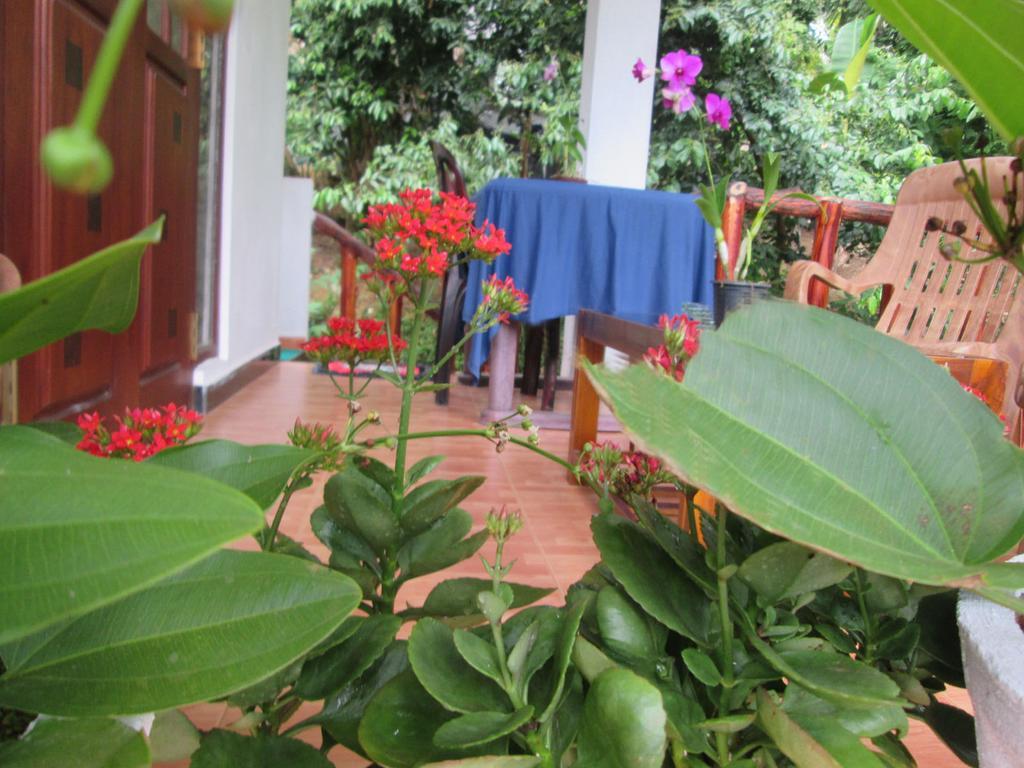 Ranga Villa ฮิกคาดูวา ภายนอก รูปภาพ