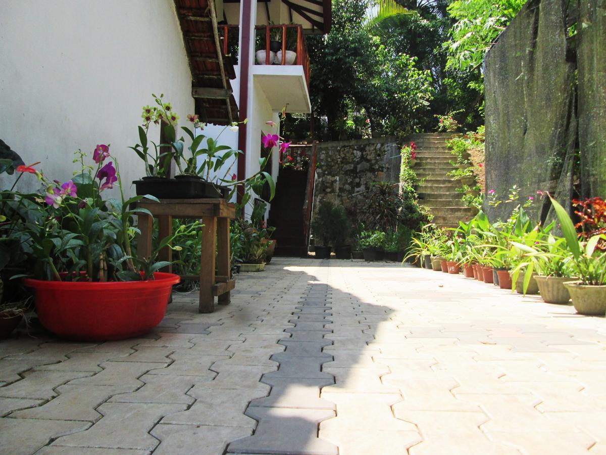 Ranga Villa ฮิกคาดูวา ภายนอก รูปภาพ